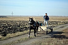 Селяне Аргаяшского района: На дворе 21 век, а деревня без связи и интернета, скорую не вызвать