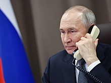 Путин выслушал доклад о ситуации с пожарами в Приамурье