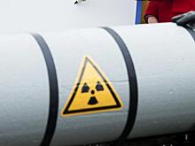 Аналитик обозначил сроки получения Польшей своего ядерного оружия