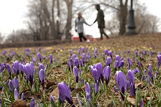Майская погода придет в Центральную Россию 11 апреля