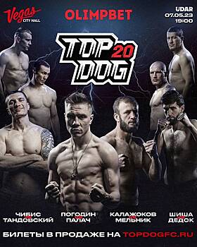 В Москве пройдет юбилейный турнир по кулачным боям TOP DOG