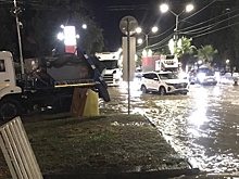 В Сочи мощный ветер повалил 15 деревьев во время ночного ливня