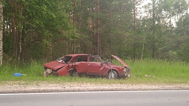 Водитель легковушки погиб в страшном ДТП в Никольском районе