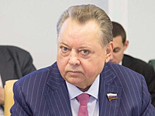 Декларируй это: о чем не хочет вспоминать сенатор Невзоров?
