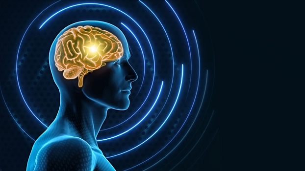 Нейробиологи выяснили, почему так сложно избавиться от привычек