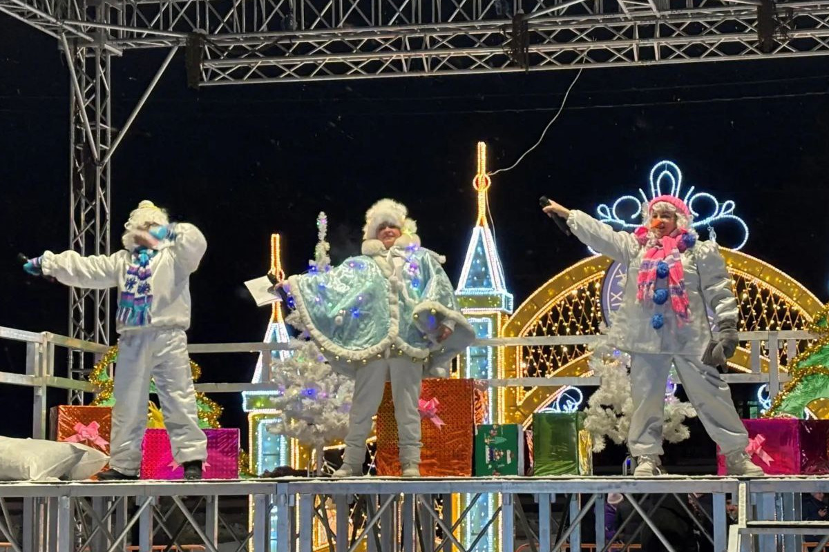 Более 50 развлекательных мероприятий провели в Биробиджане в праздничные дни