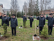 В Смоленской области полицейские высадили деревья в рамках Всероссийской акции «Лес Победы»