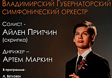 Бетховен, техно и хоккей: куда владимирцам сходить на этой неделе?