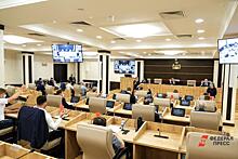 Екатеринбургские депутаты поспорили из-за кандидатов в общественную палату