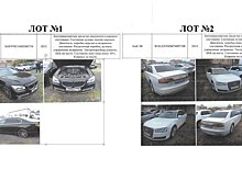 Власти Татарстана распродают BMW и 4 Audi за 6,1 млн рублей