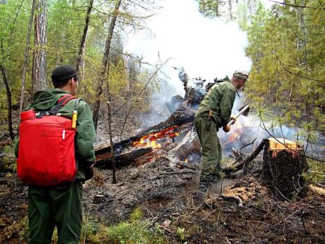 Ростех протестировал новое сверхмощное устройство для борьбы с лесными пожарами