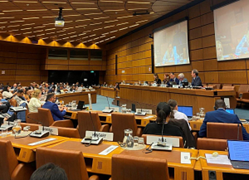 Игорь Зубов возглавил делегацию МВД России на сессиях рабочих групп Конференции государств – участников Конвенции ООН против транснациональной организованной преступности