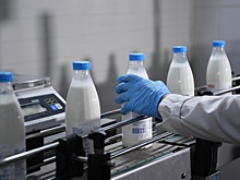 Минсельхоз: Отпускные цены на молоко растут ниже уровня инфляции