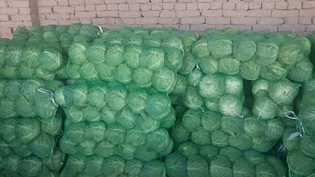 За 100 тонн карантинных овощей оштрафовали московскую фирму