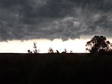 В Калужской области из-за шторма произошло массовое отключение электричества