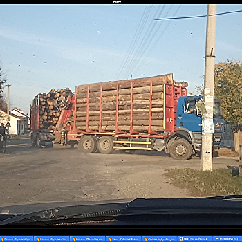 Тайны Буковинского лесничества или как рубят лес в Прикарпатье