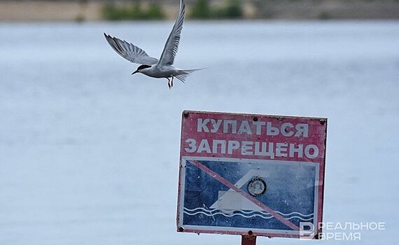 Казанский пляж "Локомотив" пока не поставили на учет — на него нет декларации