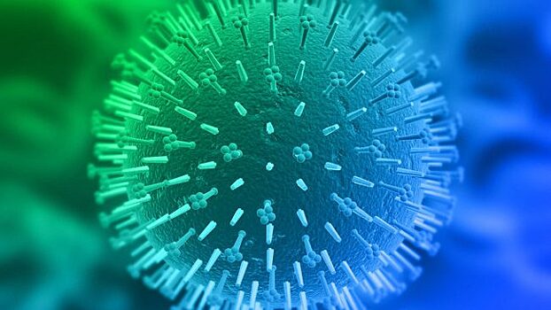 Компьютерное проектирование противовирусных белков может предупредить очередную пандемию