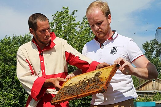 В Сибири будут развивать промышленное пчеловодство