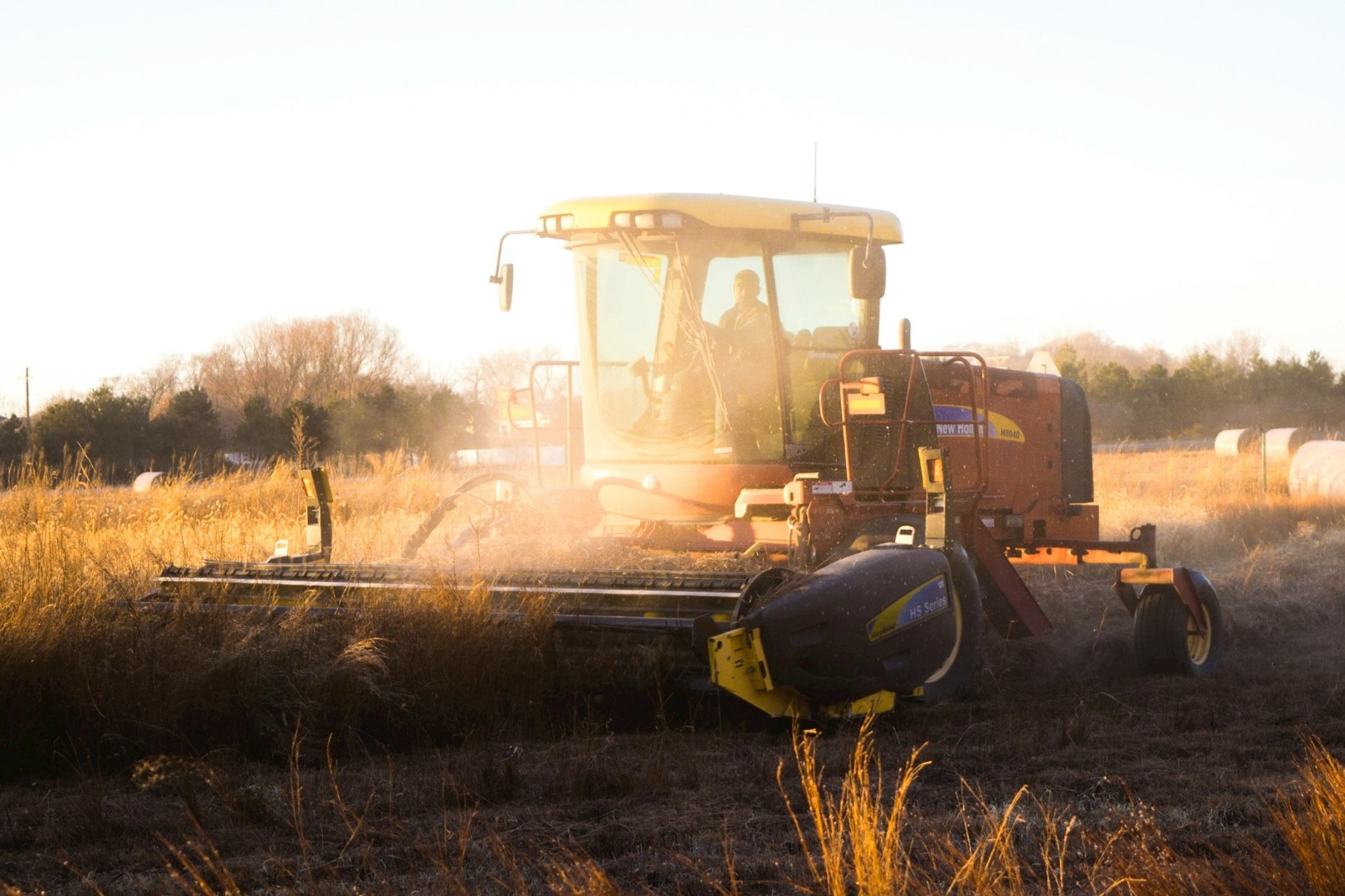 Эксперт призвал аграриев диверсифицировать севооборот масличными и зернобобовыми