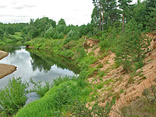 Новгородские власти выясняют причины массовой гибели рыбы в реке Холова