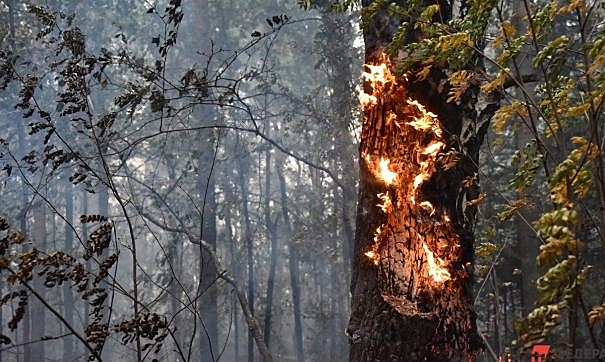 В Коми загорелся объект всемирного наследия ЮНЕСКО
