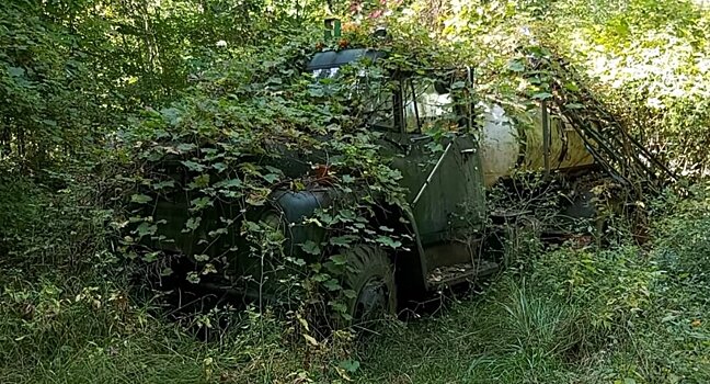 Грузовик десятки лет стоял в лесу. Насколько легко оживить такую машину