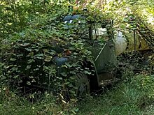 Грузовик десятки лет стоял в лесу. Насколько легко оживить такую машину