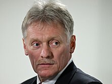 Песков заявил, что многие ищут в РФ спасения от преследования