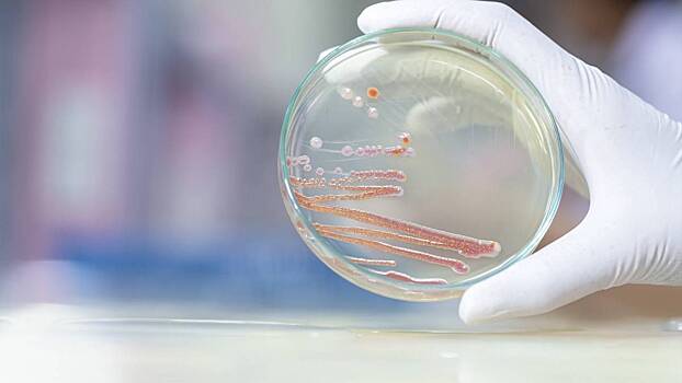 «Настоящий монстр»: какая бактерия убила девять младенцев в роддоме Новокузнецка