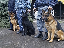 В Алтайском крае подвели итоги работы системы исполнения наказаний за 2025 год