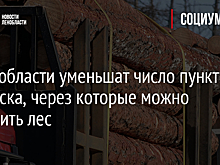 В Ленобласти уменьшат число пунктов пропуска, через которые можно вывозить лес