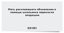 Мать расклеившего объявления о помощи школьника перенесла операцию