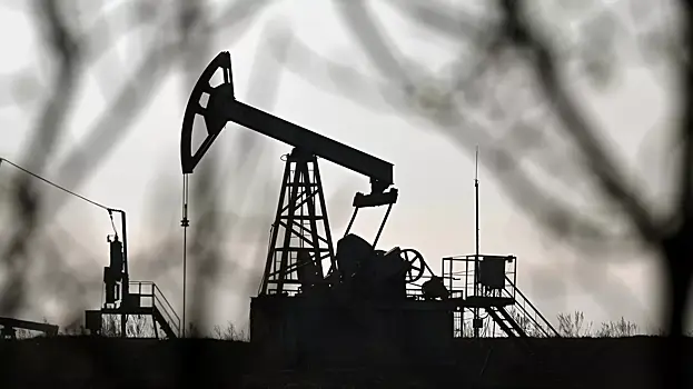 В России ожидают сокращения доходов от нефти и газа в ближайшие годы