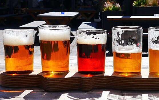 Потребление пива в ЕС так и не достигло допандемийных объемов