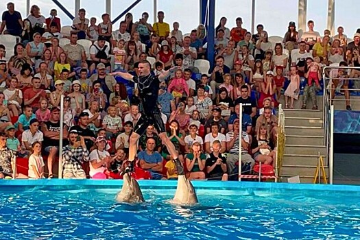 Пережитки прошлого: экологи выступили против строительства восьмого дельфинария в Сочи