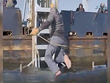 Ученые укротили смертоносную акулу-людоеда и затащили ее на судно