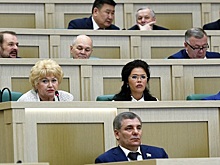 Все члены Совфеда подали декларации о доходах