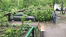 Ураган в Москве 29 мая 2017 года