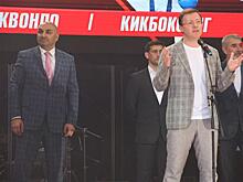 Дмитрий Азаров дал старт первому детско-юношескому фестивалю единоборств в Самаре