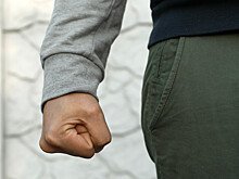 В Ленобласти мигрант вмешался в ссору детей и пытался похитить одного из мальчиков