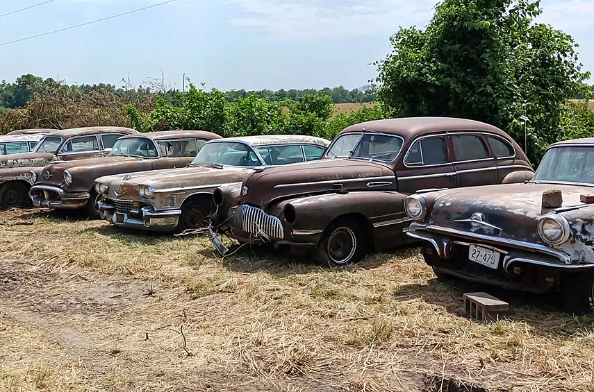 В коллекцию вошли 54 Oldsmobile, 26 Buick, 17 Pontiac, 16 Cadillac, четыре DeSoto, пара Lincoln и один Imperial. Ещё здесь представлены Chevrolet, Chrysler, Dodge, Ford, Hudson, Packard и модели множества иных марок