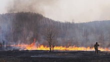В Астраханском заповеднике вспыхнул крупный пожар