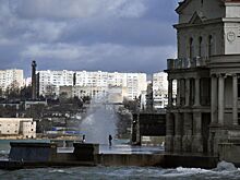 В Севастополе разобьют сад лекарственных трав