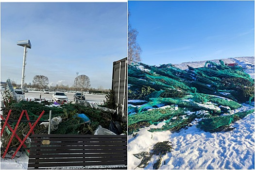 Новосибирцы смогут сдать елки на утилизацию с 13 января