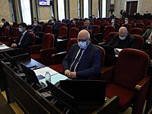 Депутаты-единороссы определились с планом работы на 2021 год