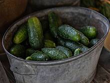 Названа неожиданная альтернатива энергетикам