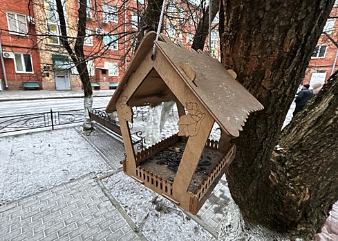 24 января в Курской области будет 2 градуса мороза и снег