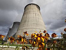 Игорь Юшков: Энергосистема страны работает на пределе, поэтому тарифы будут расти