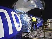 «Почта России» назвала самые перспективные страны для розничного экспорта